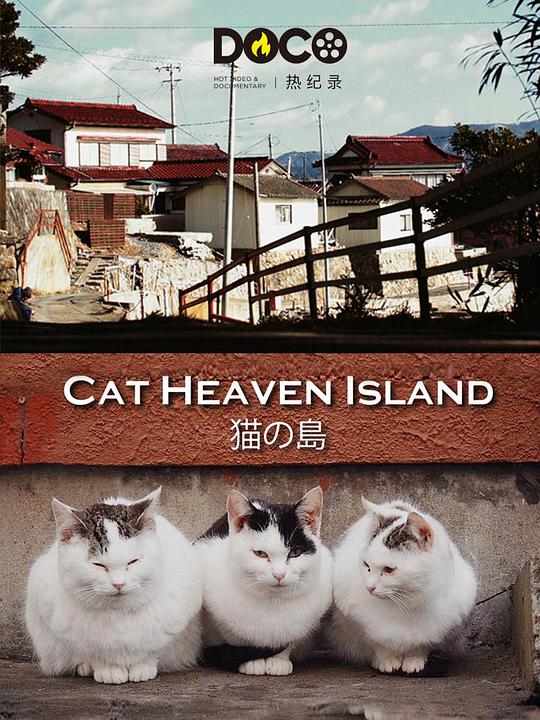 海报背景